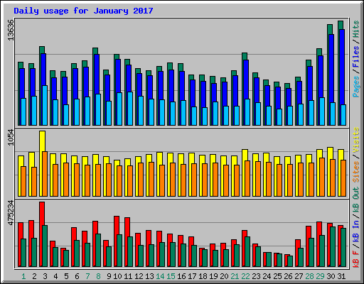 Daily usage for January 2017