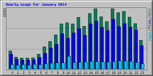 Hourly usage for January 2014