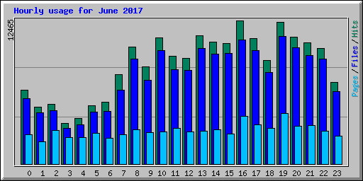 Hourly usage for June 2017