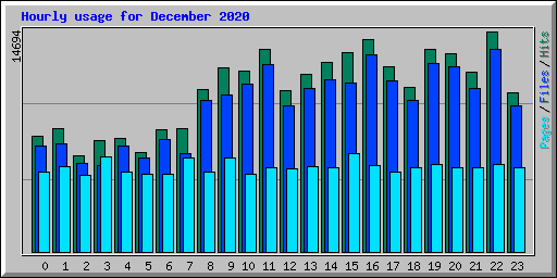 Hourly usage for December 2020