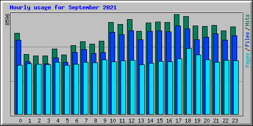 Hourly usage for September 2021