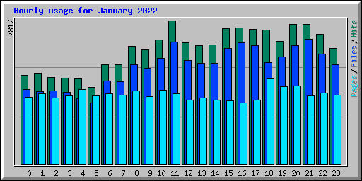 Hourly usage for January 2022