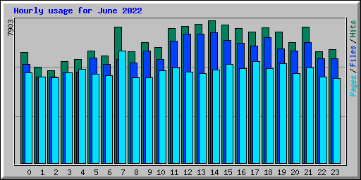 Hourly usage for June 2022