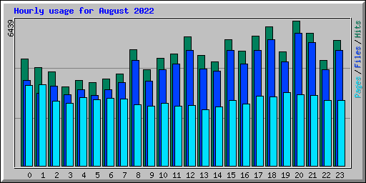 Hourly usage for August 2022