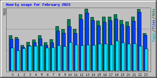 Hourly usage for February 2023