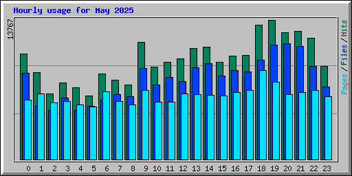 Hourly usage for May 2025