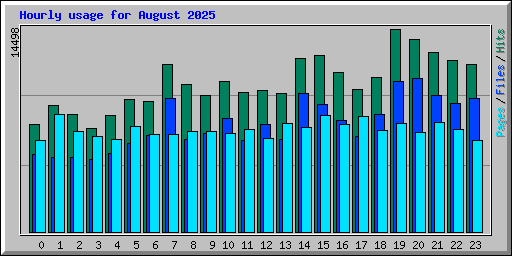 Hourly usage for August 2025