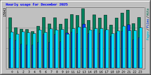 Hourly usage for December 2025