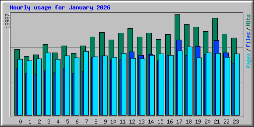 Hourly usage for January 2026