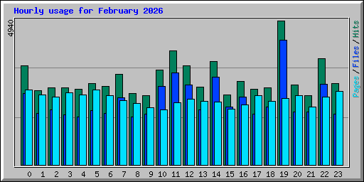Hourly usage for February 2026