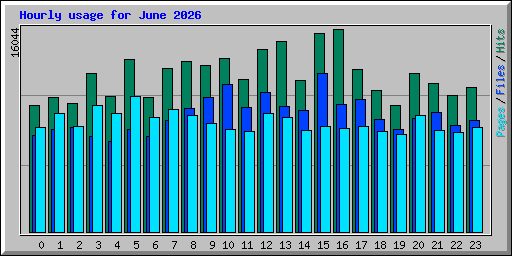Hourly usage for June 2026