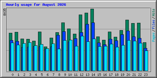 Hourly usage for August 2026